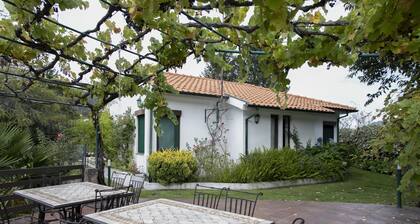 Location de meublés de vacances Maison prÚs du parc national de Peneda Geres - 11847 / AL