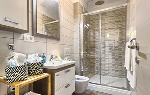 Combined shower/tub, hair dryer, towels, toilet paper