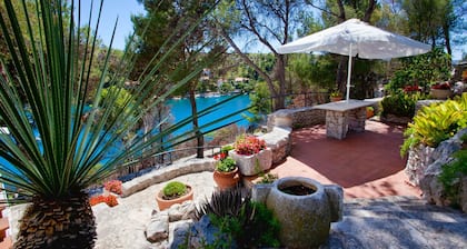 Beautiful Dalmatian style villa with magnificent garden 