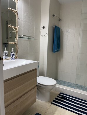 Chuveiro, secador de cabelo, toalhas de banho, sabonete