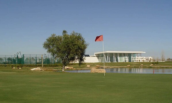 A golf course with a modern building, a flag, and a tree.