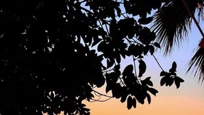 A beach scene with a sunset, palm trees, and calm sea. - VILLA DEMETRA (4 ensuite bedrooms,  stunning view,BBQ,HighSpeed WI-FI,swim.pool) (Argaka)