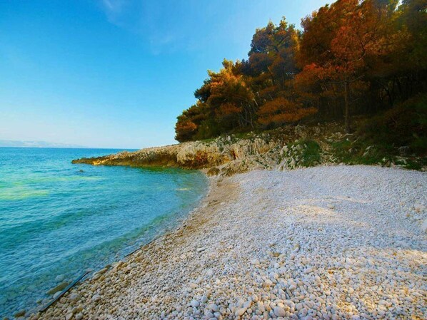 بالقرب من الشاطئ