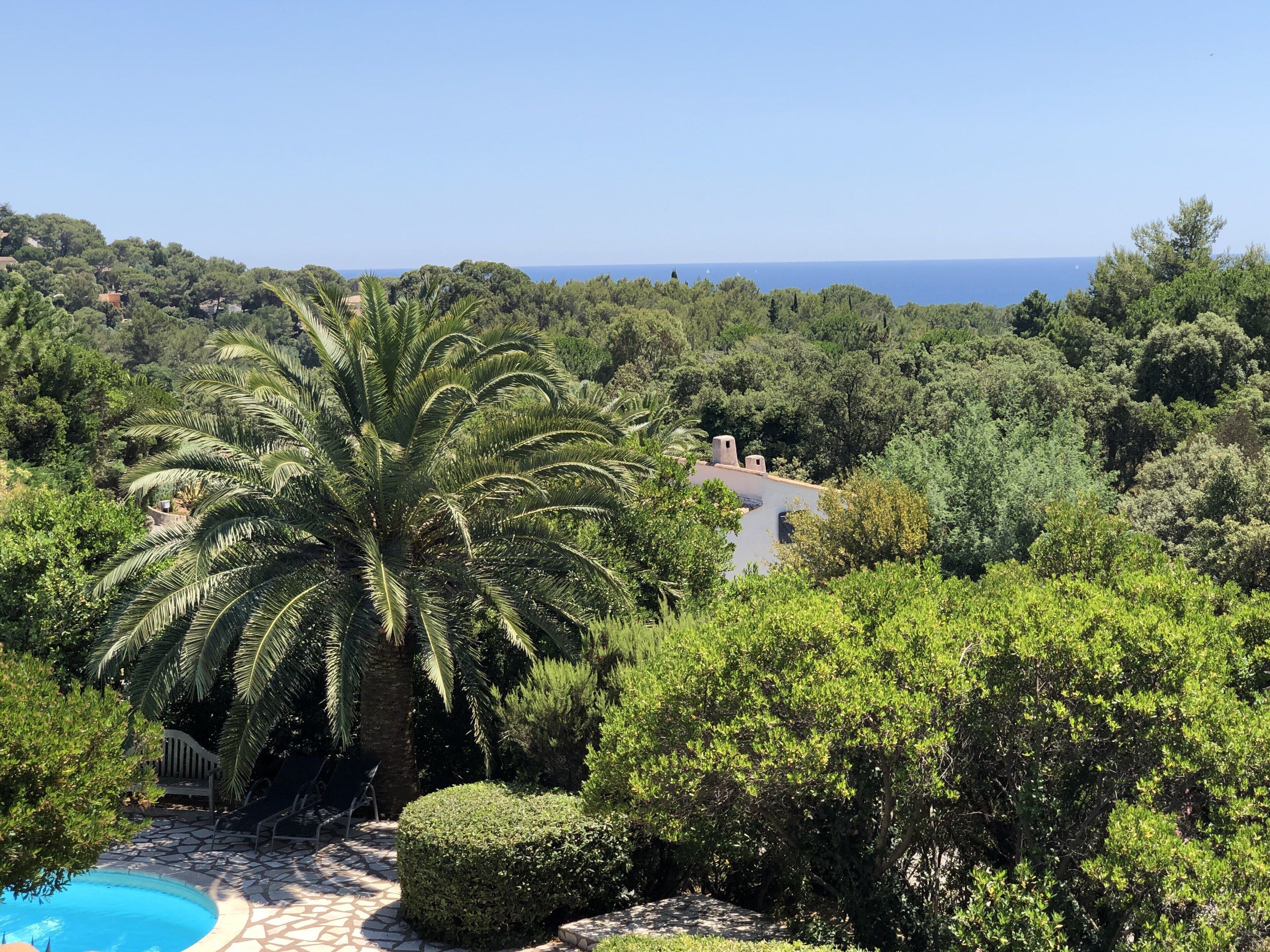 A pool surrounded by lush greenery and a view of the sea.