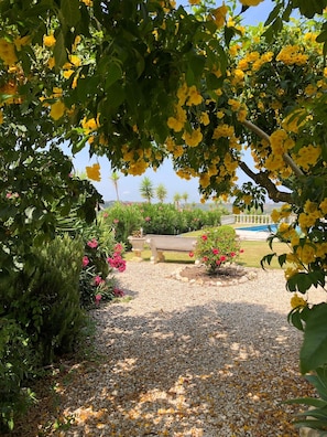 Property grounds - Country House with Pool and Amazing View (santarém)