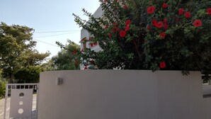 Eine weiße Mauer mit einem Tor, ein Busch mit roten Blüten und ein klarer Himmel.