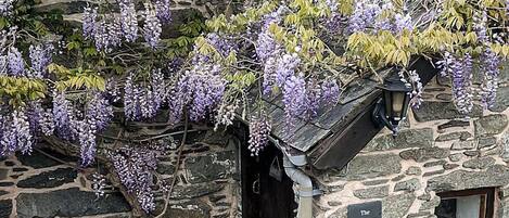 تفاصيل الفندق من الخارج