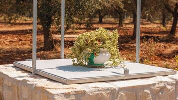 Parco della struttura