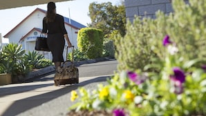 A person with a suitcase walking on a pathway.