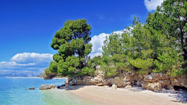 Ein Strand mit klarem türkisfarbenem Wasser, einem sandigen Ufer und üppigen grünen Bäumen.