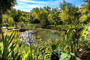 Jardines del alojamiento