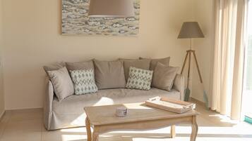 Smart TV, chimenea, reproductor de DVD y libros