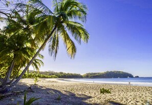Una playa con palmeras y cielo despejado.