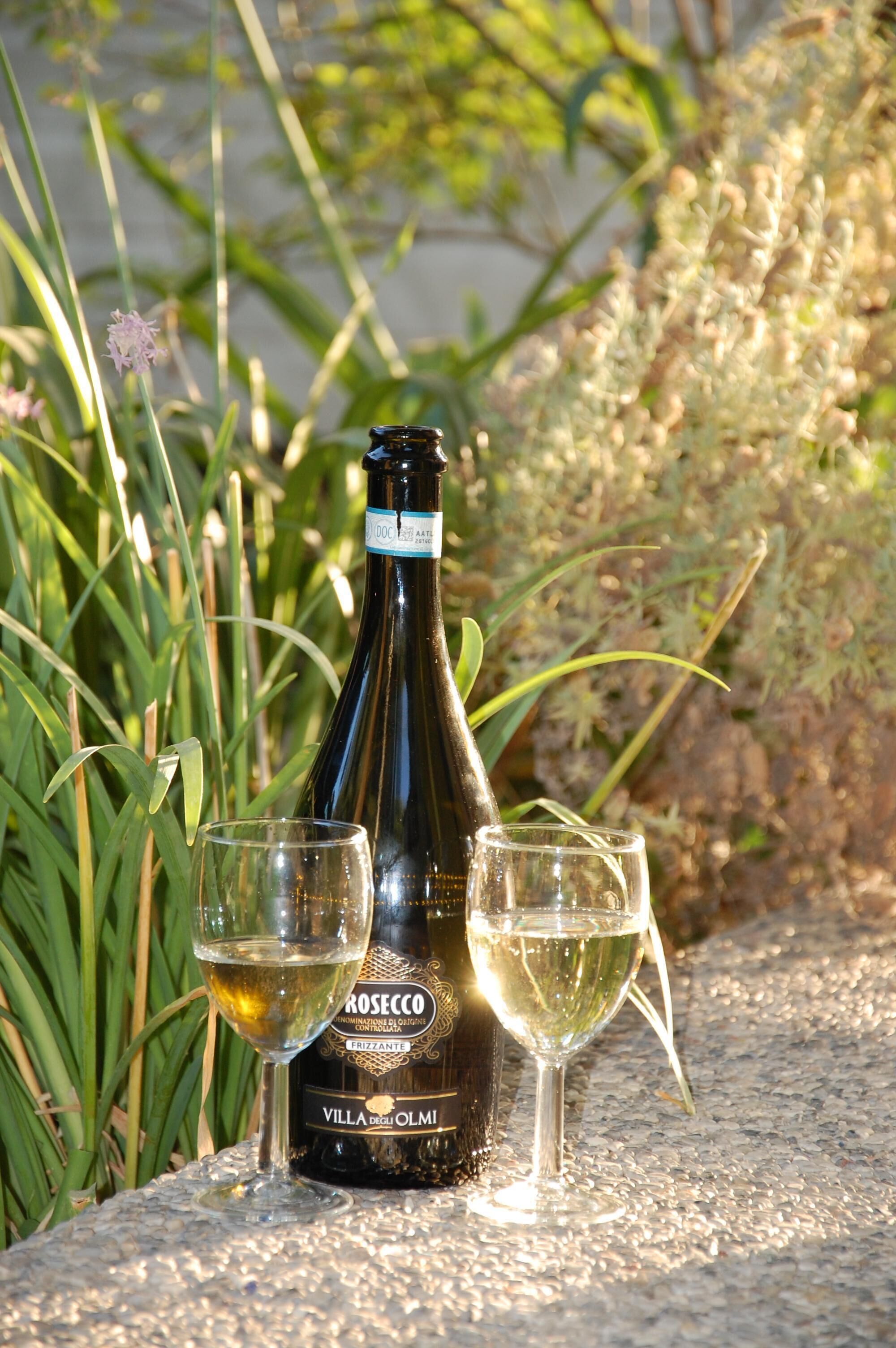 A bottle of wine with two glasses on a textured surface.
