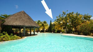 A swimming pool with a thatched-roof structure, surrounded by palm trees and other greenery.