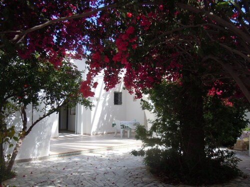 House / Villa - Mahdia