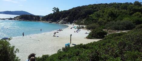 Vlak bij het strand