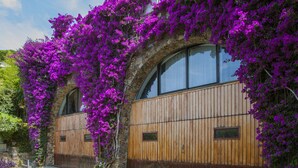Un bâtiment à l’extérieur en bois, doté de grandes fenêtres en arc de cercle, et entouré de plantes grimpantes aux fleurs violettes.