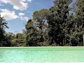 A clear pool surrounded by dense trees and a clear sky. - Confidentiality, quiet and relaxation a stone's throw from Rome in the Castelli Romani Park (Albano Laziale)