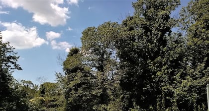 Confidencialidad, tranquilidad y relajación a tiro de piedra de Roma en el Parque Castelli Romani