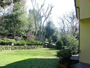 Garden area with a variety of trees and a stone wall, adjacent to a building with a paved path.