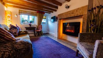 Smart TV, fireplace, books