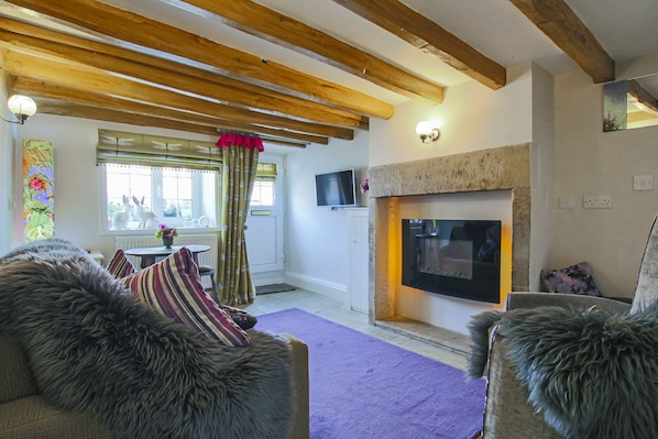 Smart TV, fireplace, books