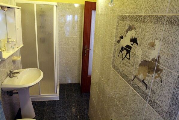 A bathroom with a sink, mirror, and shower. - MAISON CASSIUS THE Rousa (ITALIA)