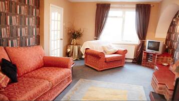 Smart TV, fireplace, DVD player, books