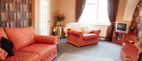 Smart-tv, eldstad, dvd-spelare och böcker