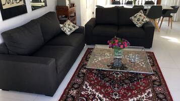 TV, fireplace, DVD player, books