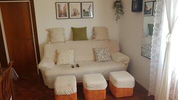 TV, fireplace, video games, DVD player