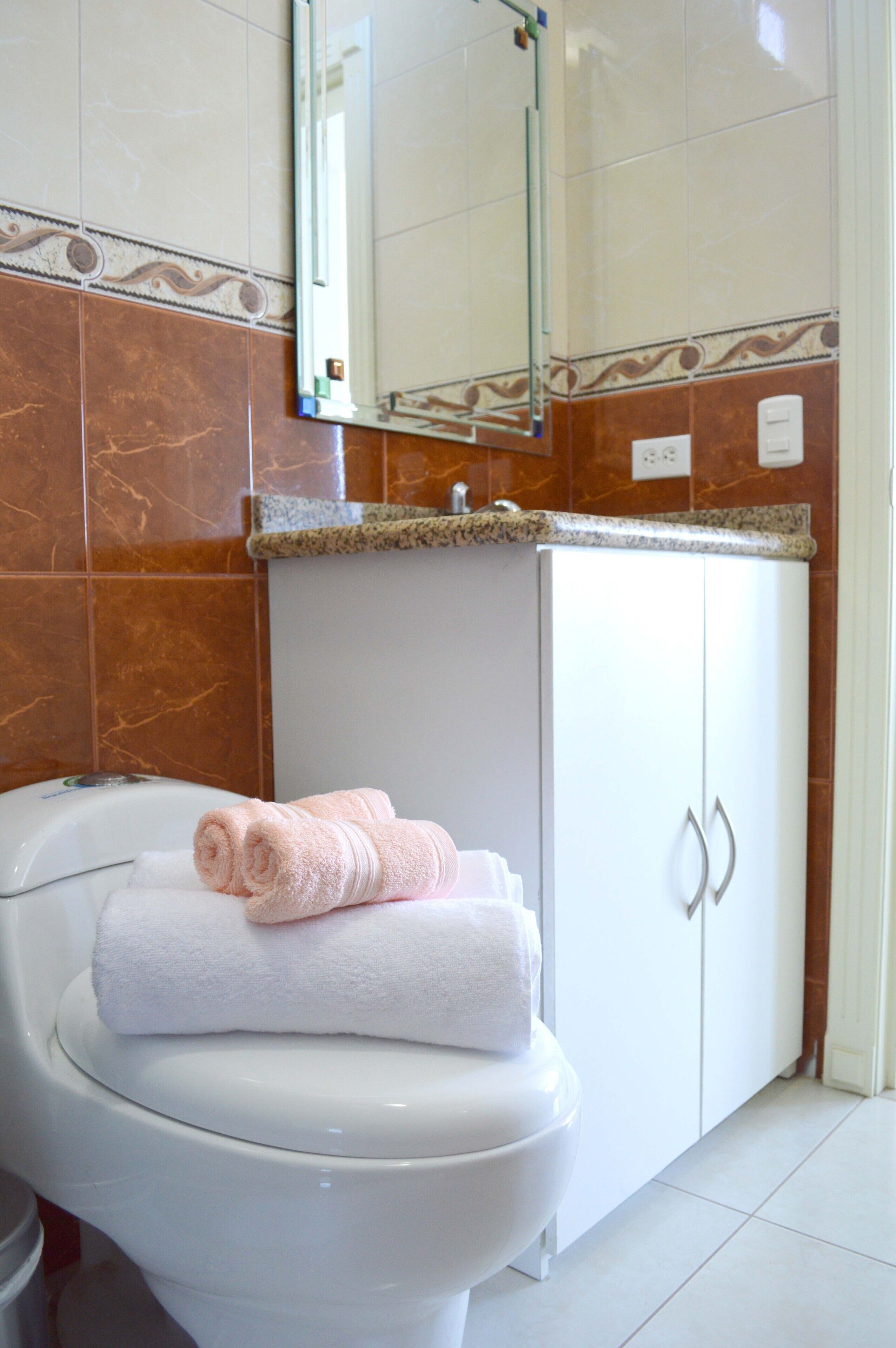 Shower, towels, toilet paper