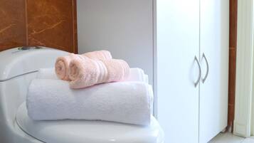 Shower, towels, toilet paper