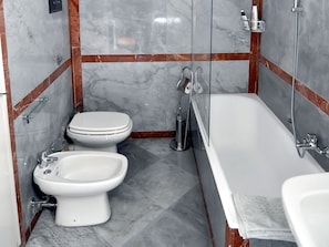 Combined shower/tub, hair dryer, bidet, towels