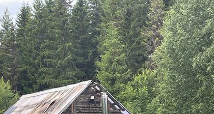 Cottage with access to silence, only nature's own sounds.