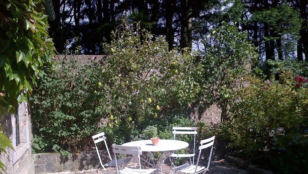 Un patio al aire libre con una mesa redonda y cuatro sillas, rodeado de abundante vegetación y árboles.