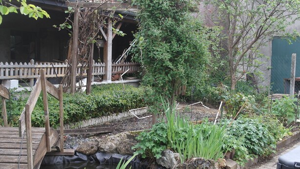 A garden with a wooden bridge, a pond, and various plants.