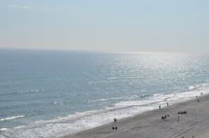 On the beach