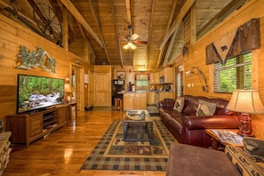 TV, fireplace, DVD player, video library