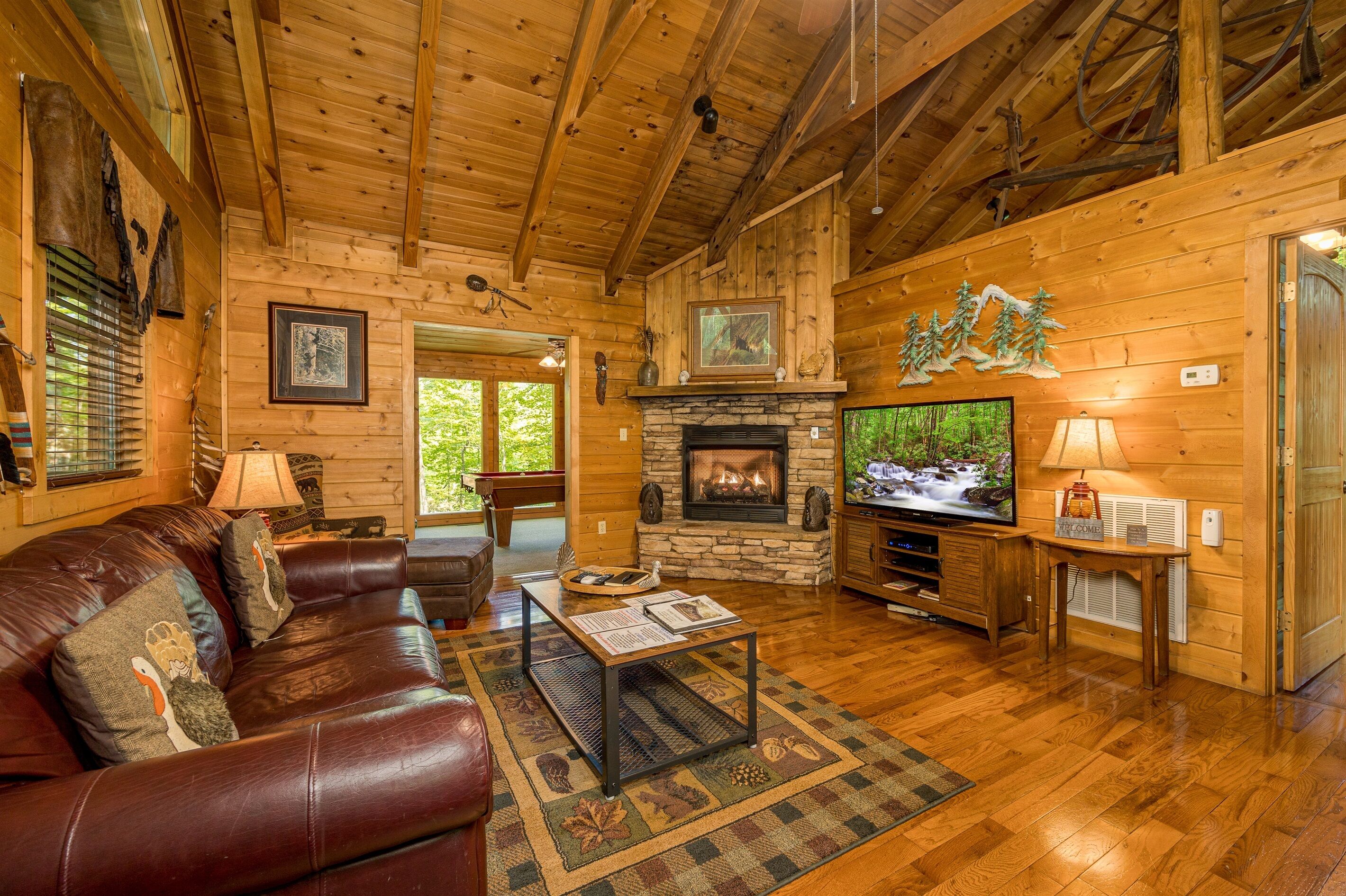 Fernseher, Kamin, DVD-Player, Videothek