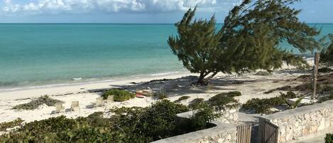 Ein Strand mit einer Steinmauer, einem Holztor und einem Baum.