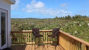 A wooden deck with two wicker chairs and a view of a lush landscape with palm trees and hills.