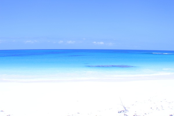 بالقرب من الشاطئ