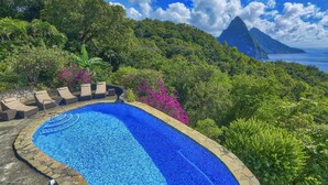 Una piscina con borde de piedra, rodeada de abundante vegetación y vistas a la montaña y al océano.