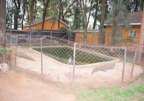 Enceinte de l’hébergement