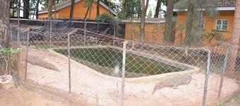 Mountainview Backpackers Kisumu. Live like a local. - Budget Hotel