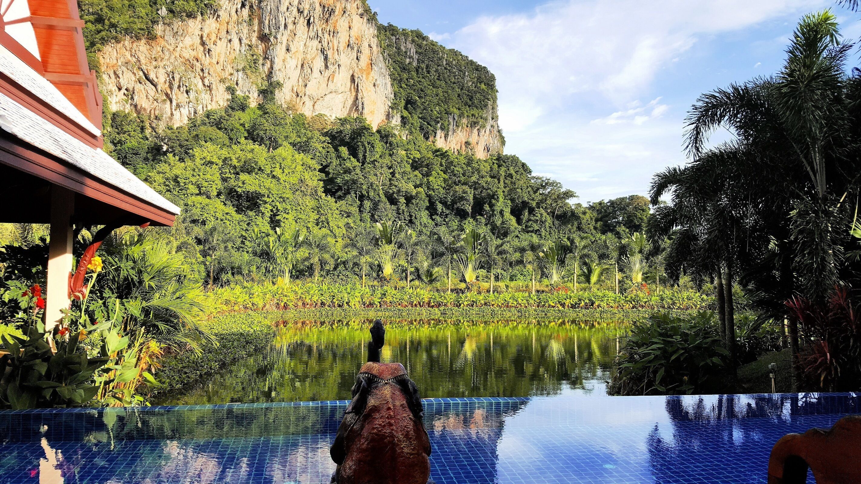 Une piscine offrant une vue sur un paysage montagneux et une végétation luxuriante.