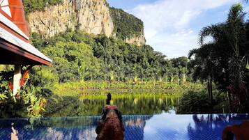 Une piscine offrant une vue sur un paysage montagneux et une végétation luxuriante.