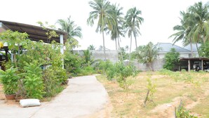 A concrete pathway leading to a house with a covered porch, surrounded by palm trees and various plants.